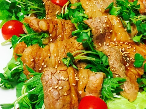 野菜をいっぱい食べられる!焼肉風カルビサラダ大葉巻